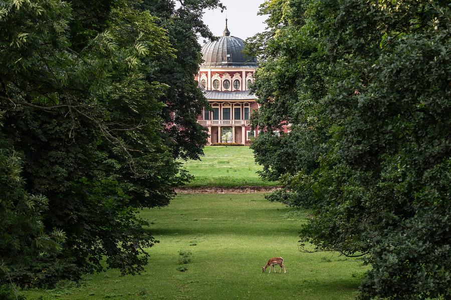 A red and white domed chateau at the end of a long mown grass ride framed by tall summer trees, a single fallow deer grazing in the foreground.
