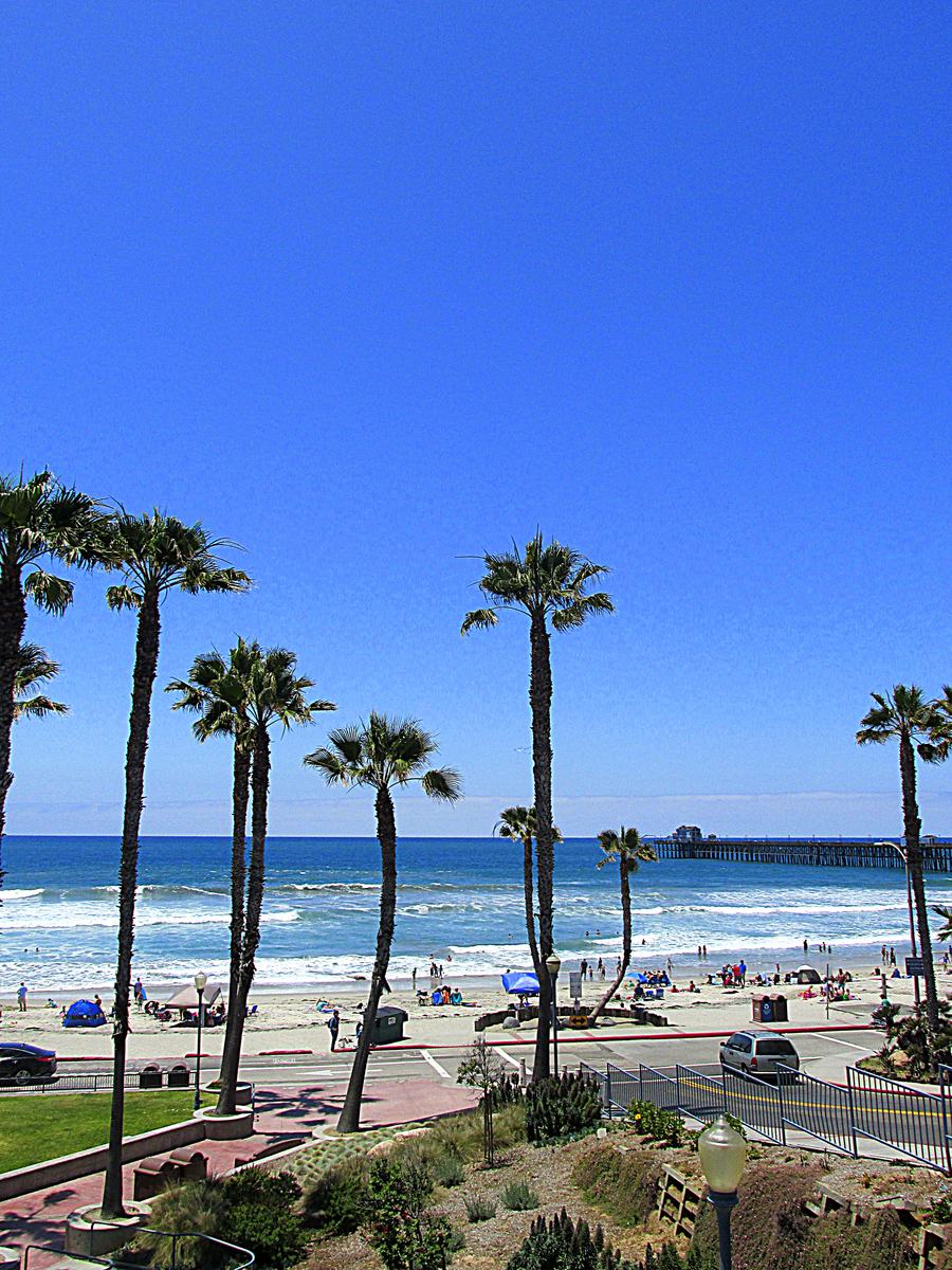 Palm trees above The Strand beachfront road in Oceanside, with the pier in the distance