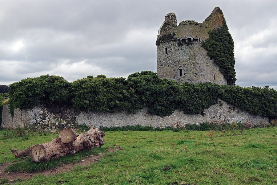 A roofless stone tower house with tall gables standing on a rock outcrop in a green field.