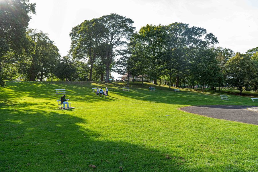 Rolling mown parkland with scattered mature trees, a path curving away and a few people sitting on the grass.