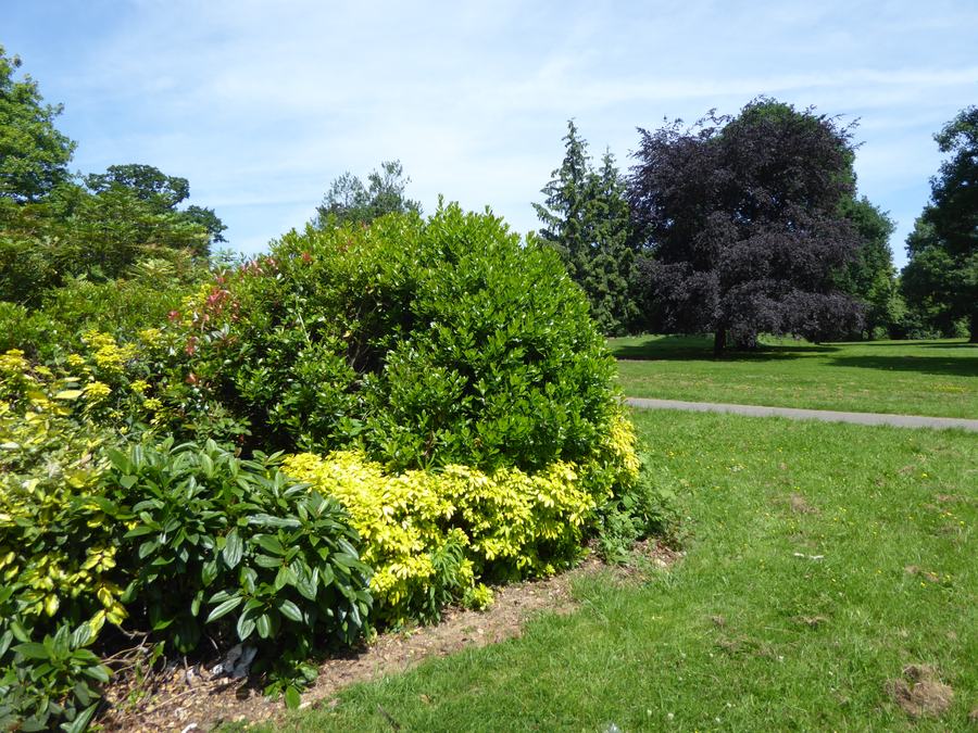 Open grass and a curving path through Barra Hall Park, Hayes