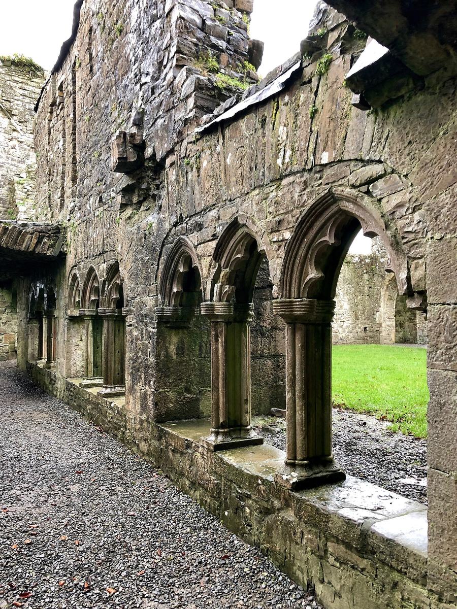 Bective Abbey