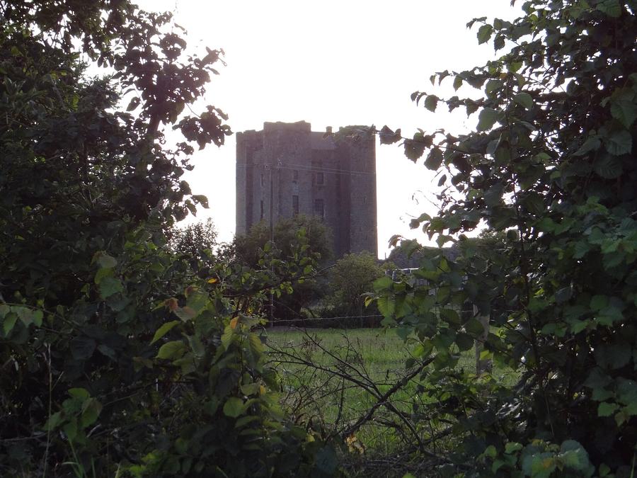 Dunsoghly Castle, Fingal