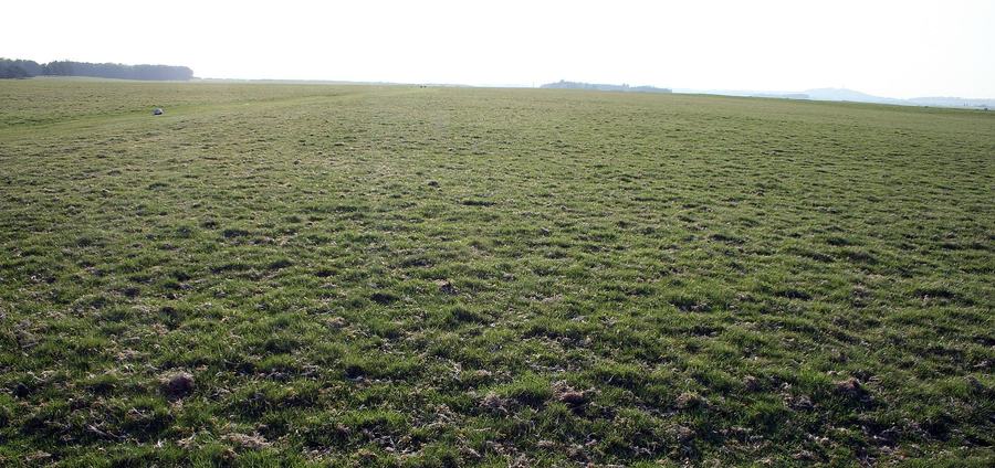 The Curragh, County Kildare