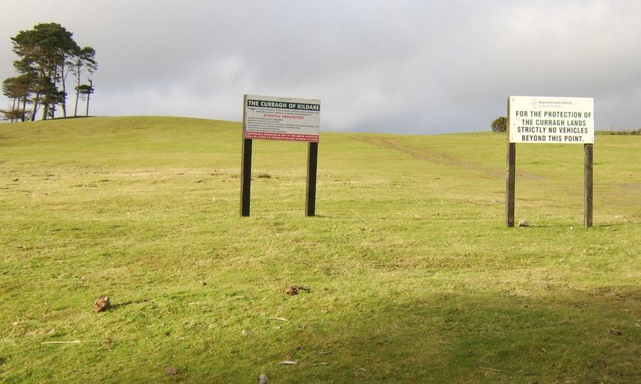 The Curragh, County Kildare