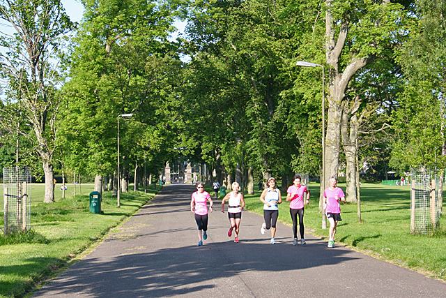 A tarmac path running away between mature trees in full leaf, with six runners in pink and black coming towards the camera.