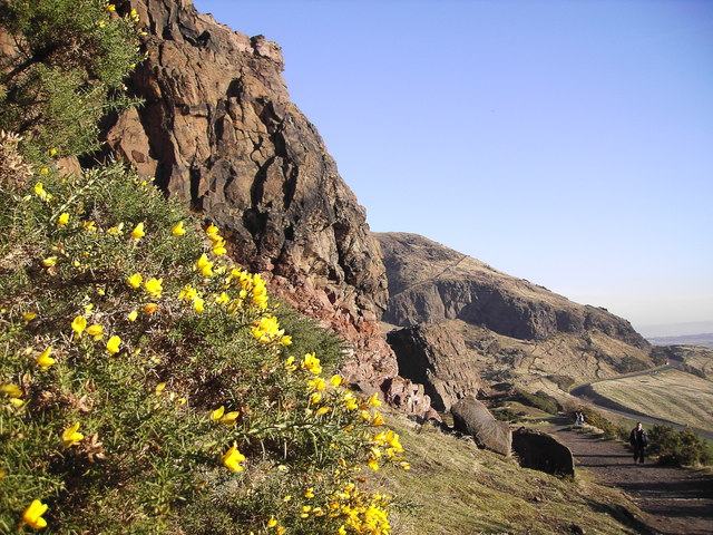 A path below a broken cliff of dark rock, with yellow gorse in flower in the foreground and the city dropping away to the right.
