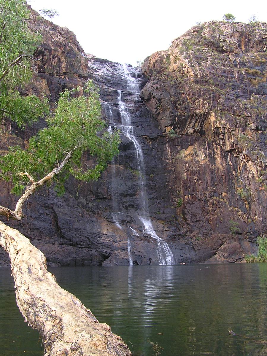 A thin waterfall dropping down a tall orange cliff into a dark green pool, a fallen tree across the foreground.