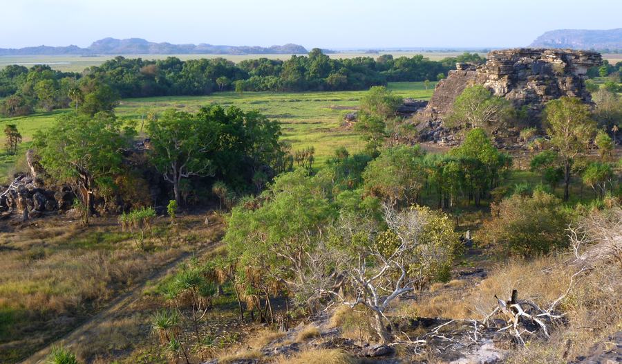 Green floodplain and scattered trees in flat daylight, weathered sandstone outcrops on the right, low hills on the horizon.