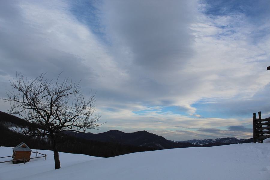 A bare tree and a wooden hay shed on a snow-covered mountain meadow