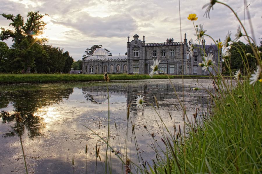 Killruddery House at sunset reflected in one of its canals: the grey stone front with its carved gable and the glass dome of the conservatory on the left, the low sun behind an oak at the edge of the frame, and oxeye daisies and grasses growing across the near bank.