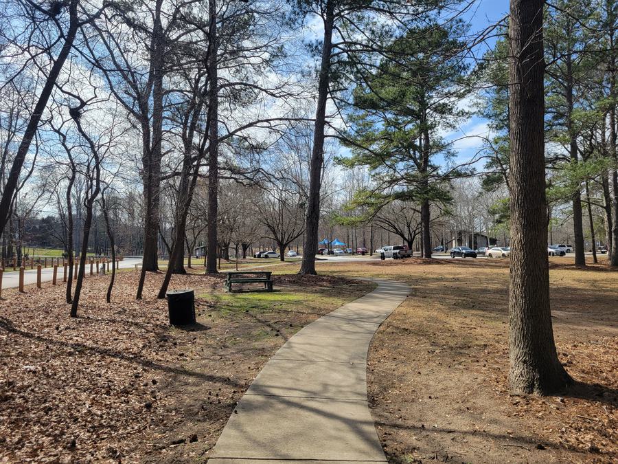 Wooded riverbank of the Chattahoochee at Jones Bridge Park