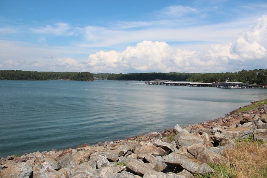 Summer shoreline of Lake Allatoona, Georgia