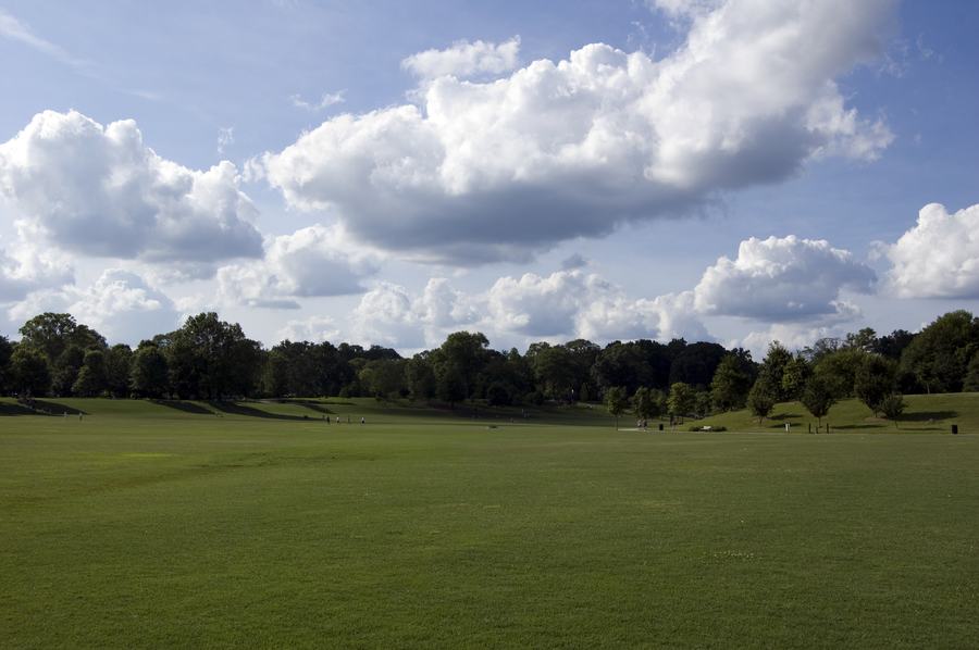 Wide open meadow lawn under summer clouds in Piedmont Park, Atlanta
