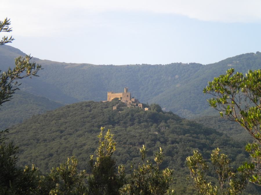 A restored castle with square towers standing on a forested summit, higher ridges behind.