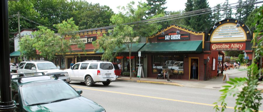 Main street of a small village with low heritage-style shopfronts under trees, parked cars along the curb