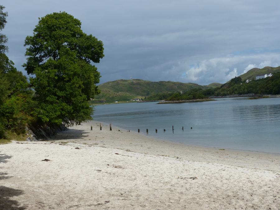 White sand beach at Morar with a large oak on the left and low hills across the water