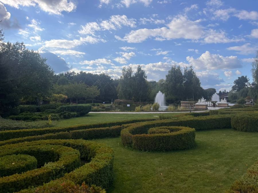 A clipped box parterre in scroll patterns on mown grass, fountains playing behind it
