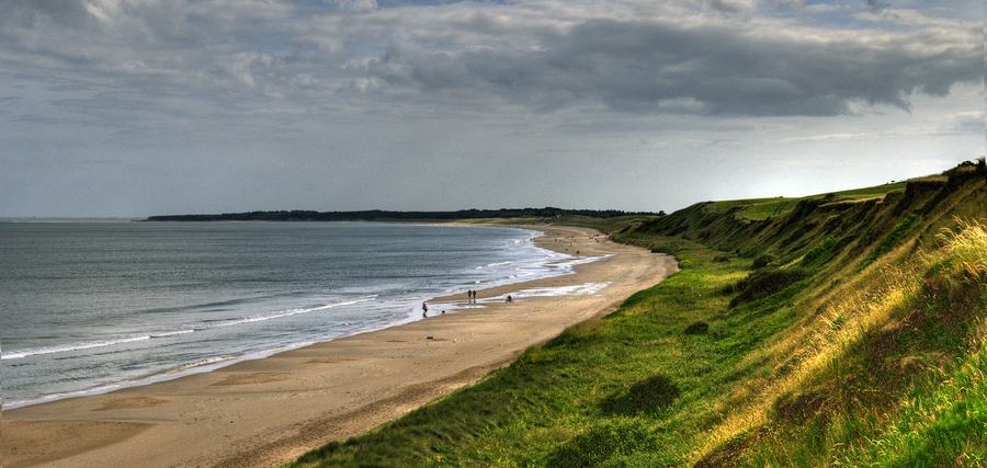 Wide view of Ballinesker Beach in County Wexford, sand running north below a line of grassy dunes