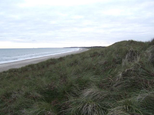 Marram grass on top of the dunes at Curracloe with the beach and sea below