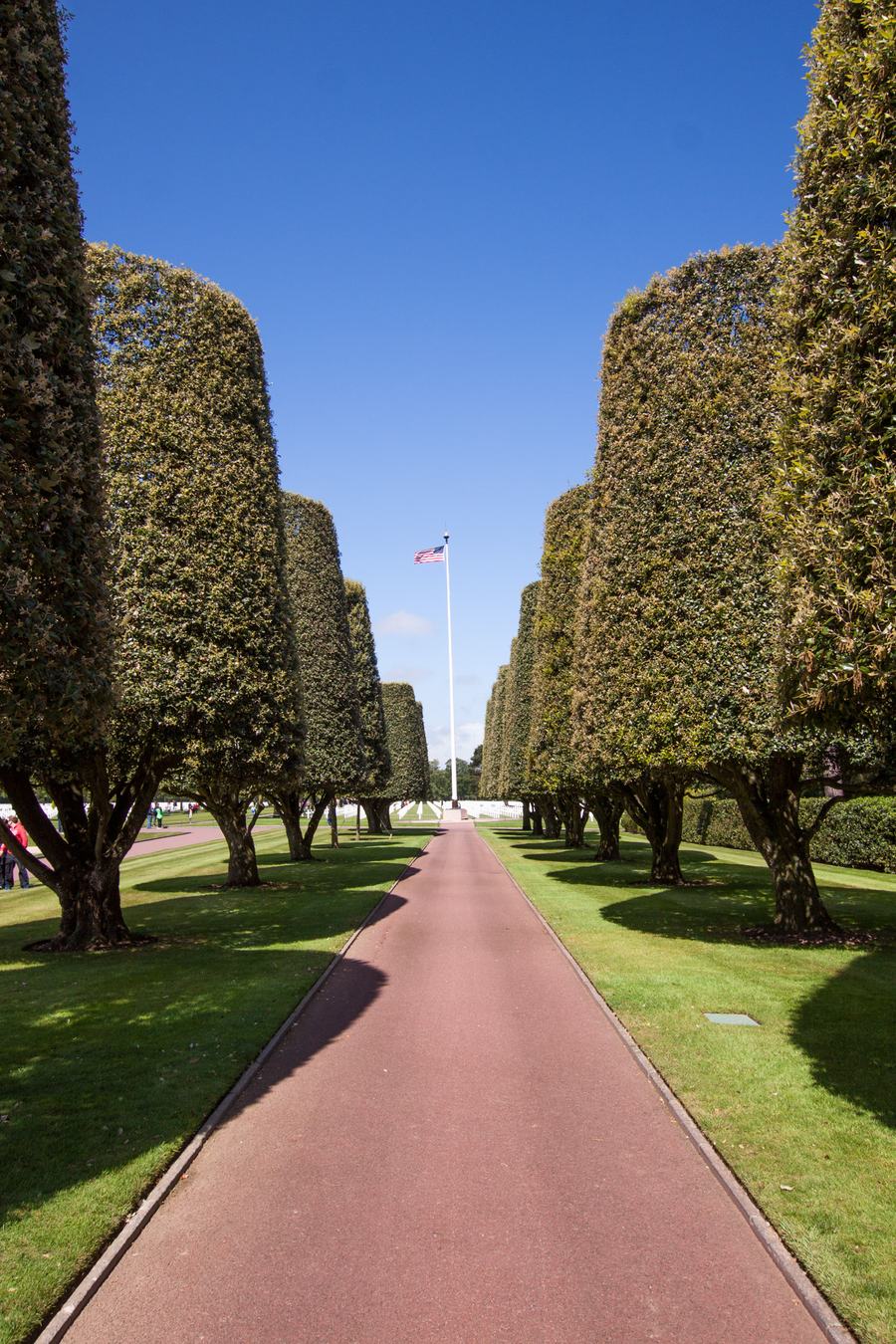 A path between clipped trees at the Normandy American Cemetery leading to a flagpole flying the US flag