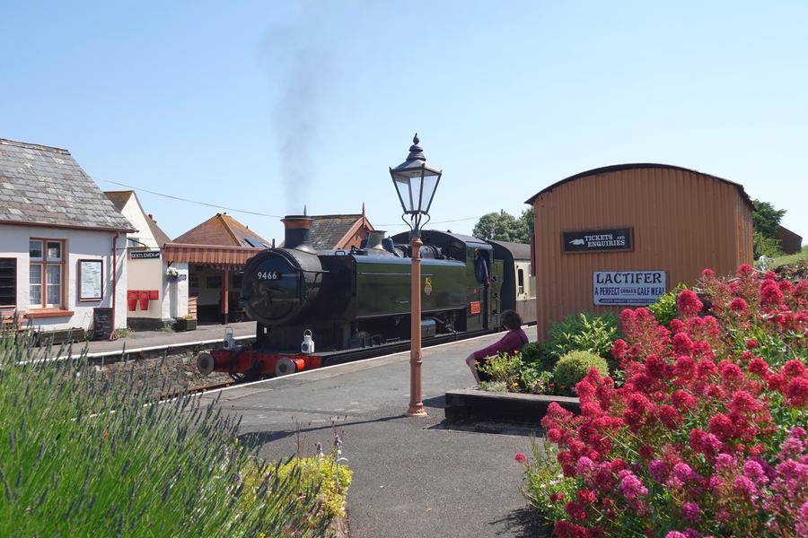 Green steam tank locomotive leaving a small country station with a lamp post and red flowers on the platform, Blue Anchor, Somerset