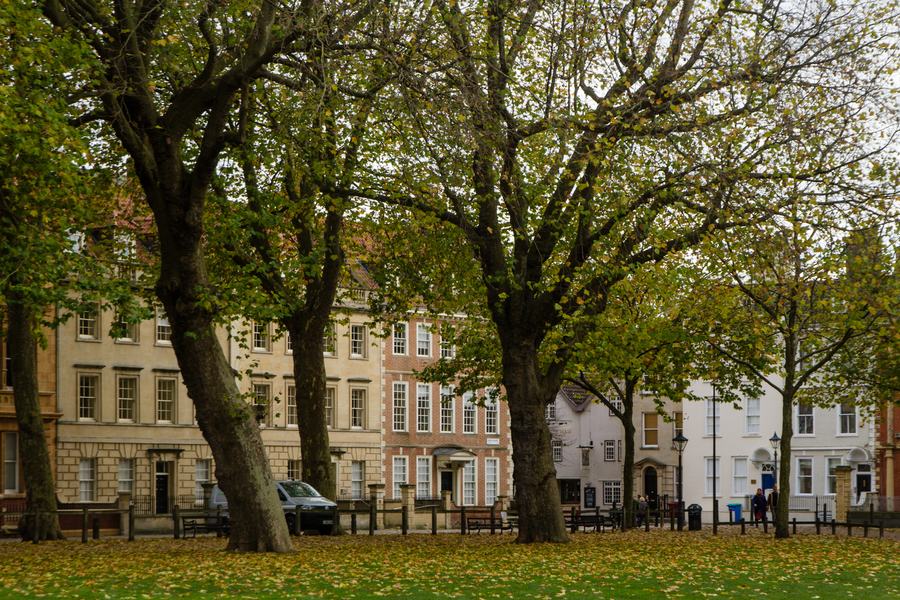 Autumn plane trees on a lawn with a row of Georgian brick and stone houses behind, Queen Square, Bristol