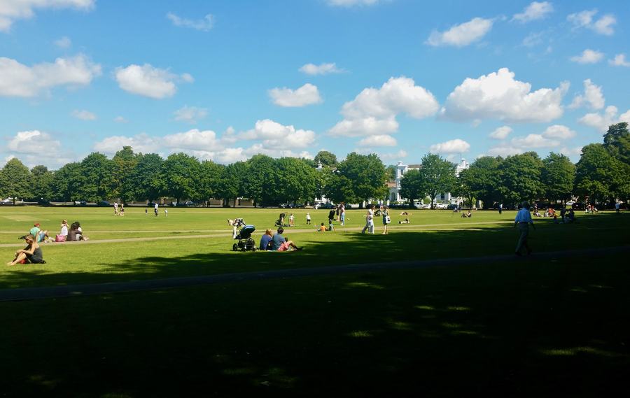 The open lawn of Richmond Green in summer sun, ringed by trees, with people sitting on the grass in the distance