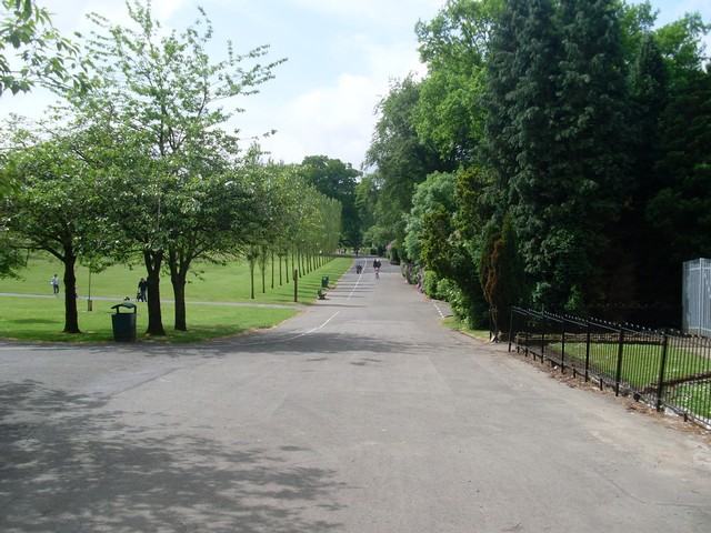 A broad tarmac path through open parkland with young trees on the left and dark woodland on the right.
