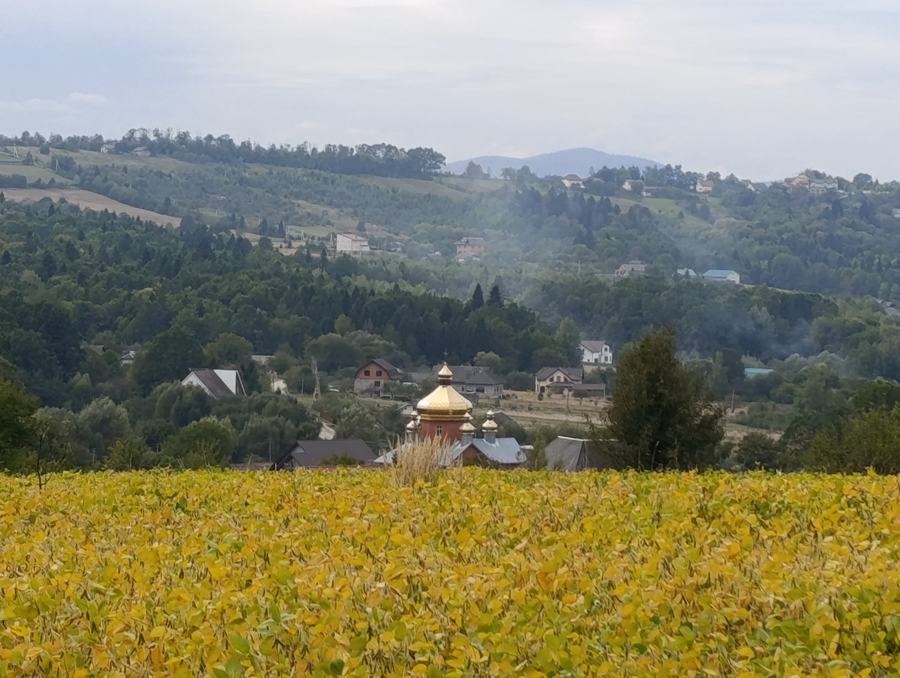 A yellowing field in the foreground, scattered village houses and wooded hills behind, a gold church dome at the centre