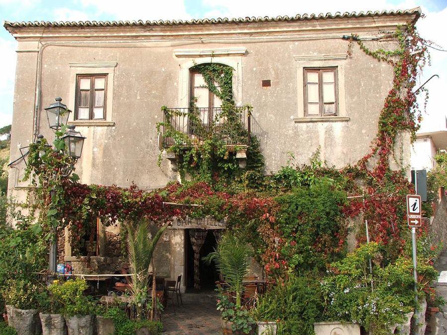 Bar Vitelli